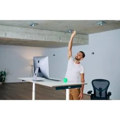 Blackroll BALL 08 12 Blackroll BALL 08 -Outdoor Hemden Verkäufe 5637769469 d ball 08 blackroll 24